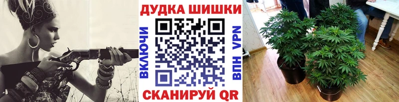 KRAKEN ТОР  Йошкар-Ола  МАРИХУАНА ГИДРОПОН 